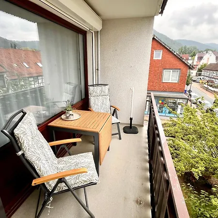 Apartment Bad Harzburg-city *